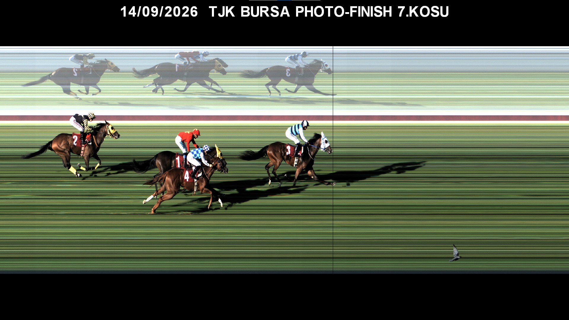 Bursa 7. Koşu foto finiş görüntüsü — 2026-09-14